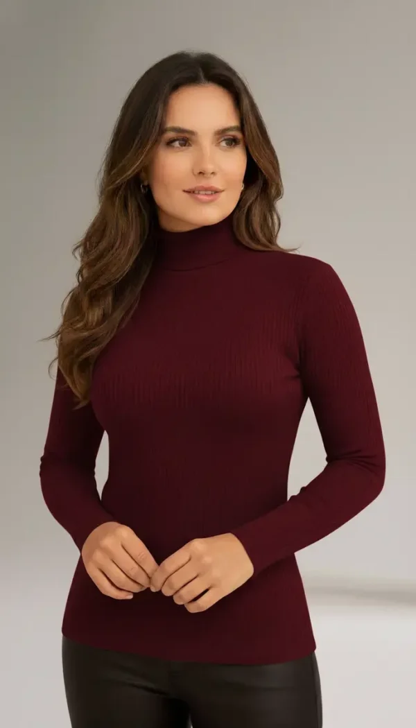 Cód. 1499 - Blusa Blusinha Básica Manga Longa Gola Alta Camiseta Frio