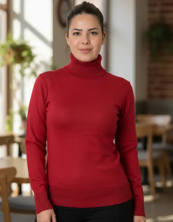 Cód. 1276 - Blusa Cacharrel Feminina Lã Gola Alta De Tricot Lisa Premium